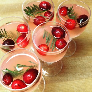 food_square_cranpinecocktail